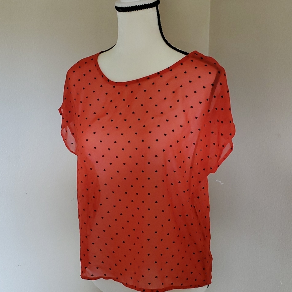 Sheer Blouse